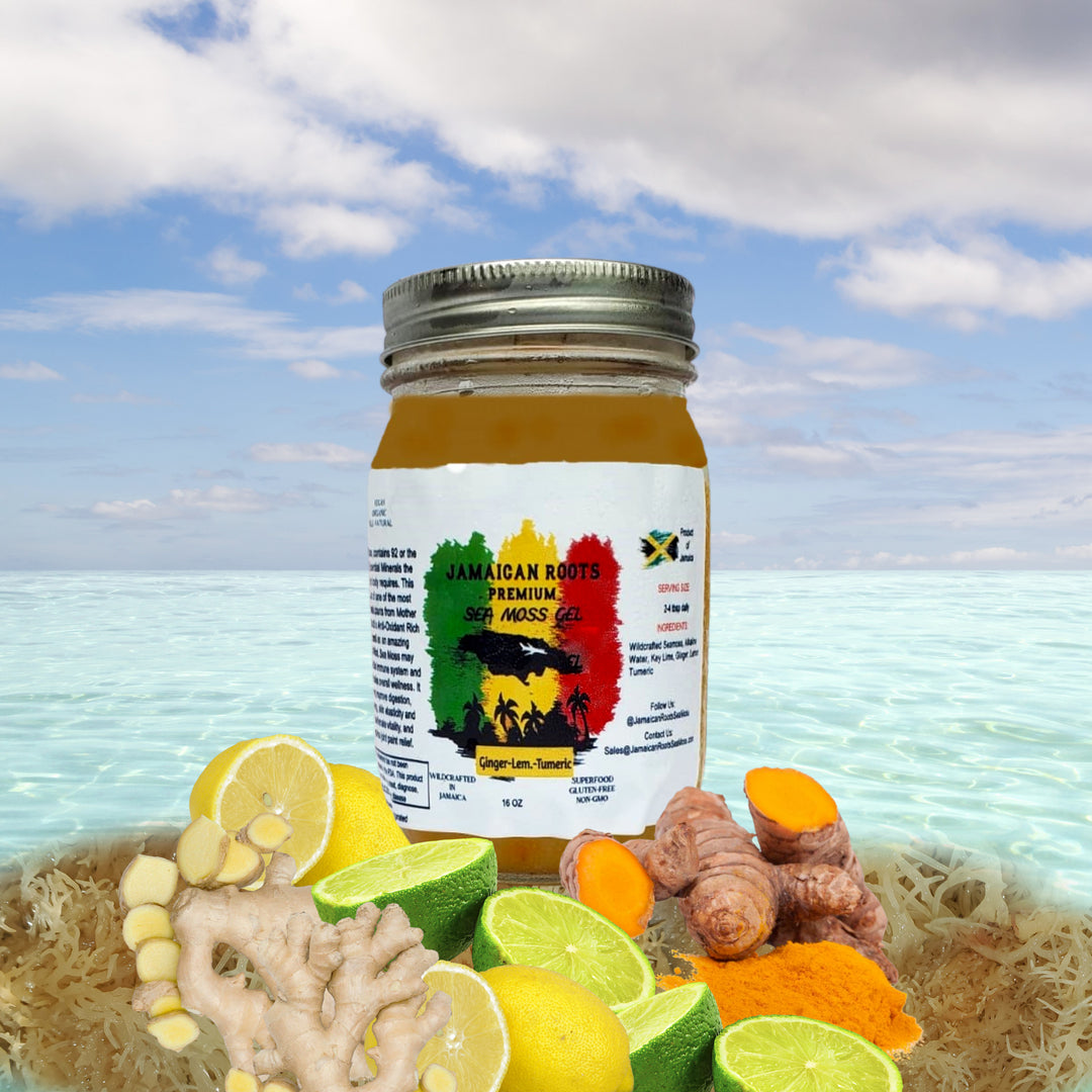 Infused Sea Moss Gel - Ginger Lemon Tumeric